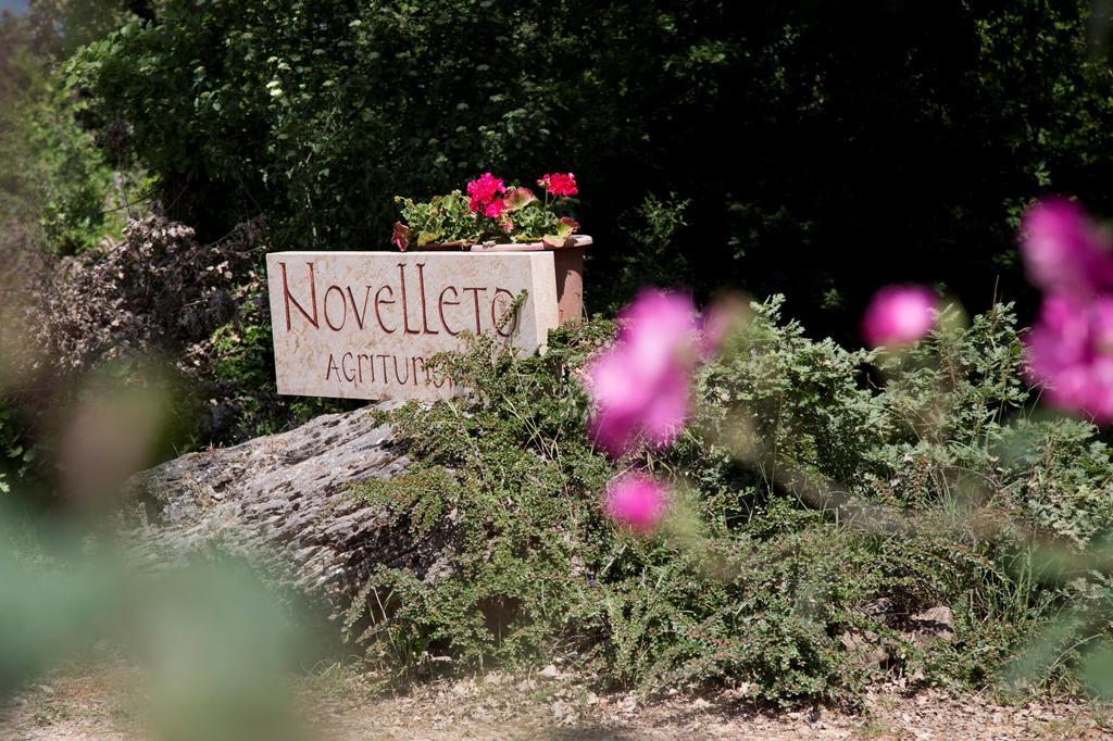 Villa Novelleto Monteriggioni Exterior foto