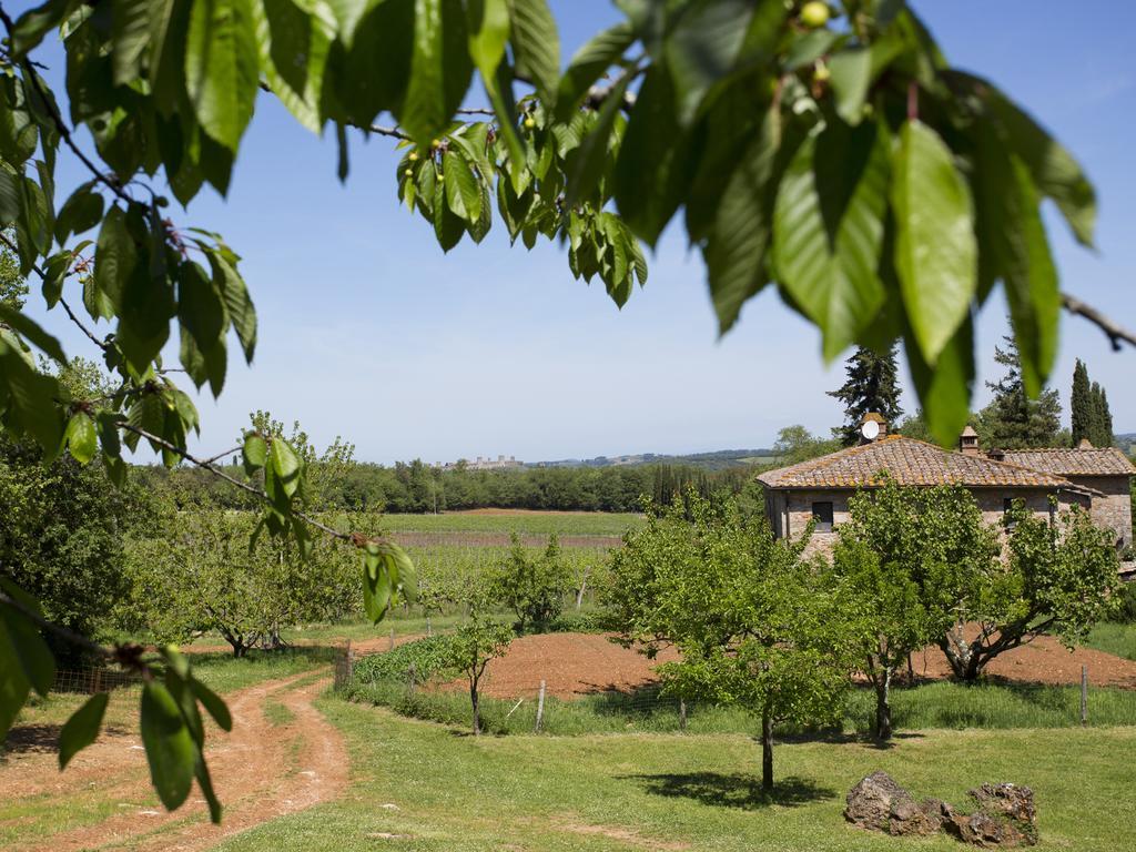 Villa Novelleto Monteriggioni Exterior foto
